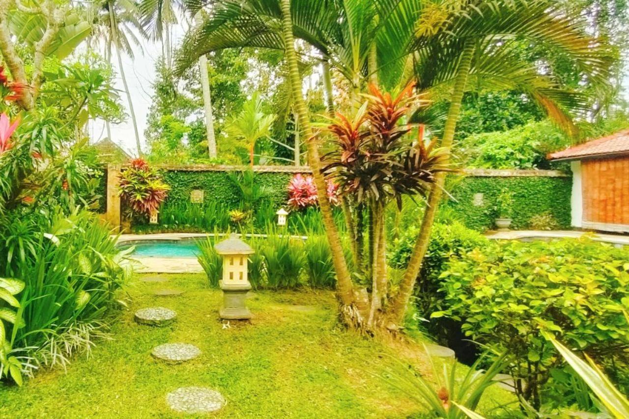 Tropical Deluxe Infinity Pool Cyn Affittacamere Ubud