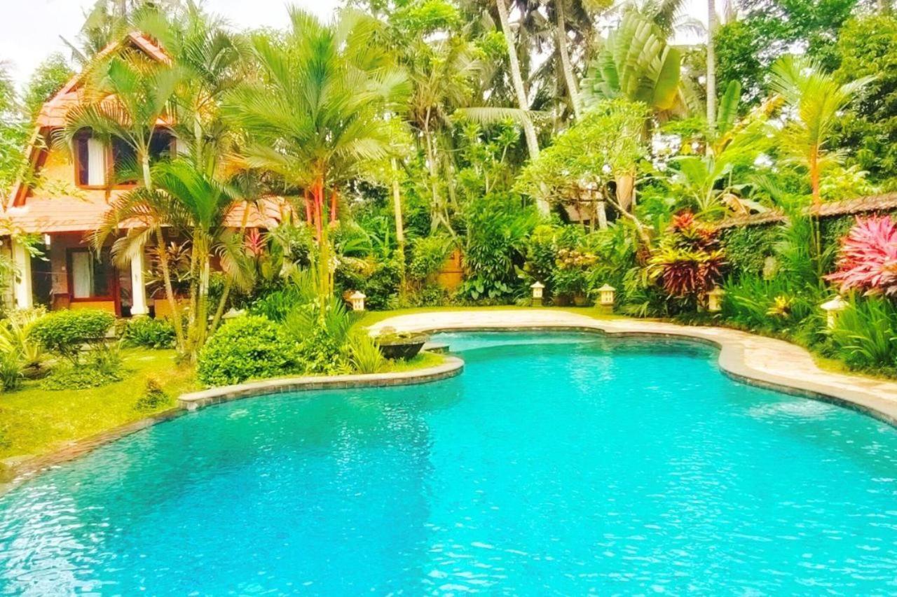 Wisma tamu Tropical Deluxe Infinity Pool Cyn