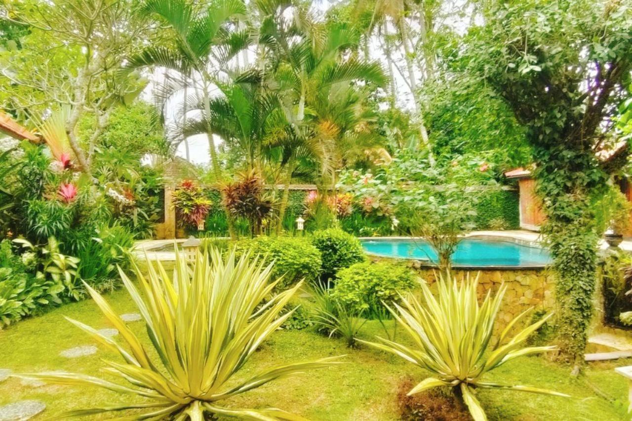 Wisma tamu Tropical Deluxe Infinity Pool Cyn *